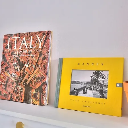 Apartment Luxury 4 Stars With 2 Terraces, Croisette