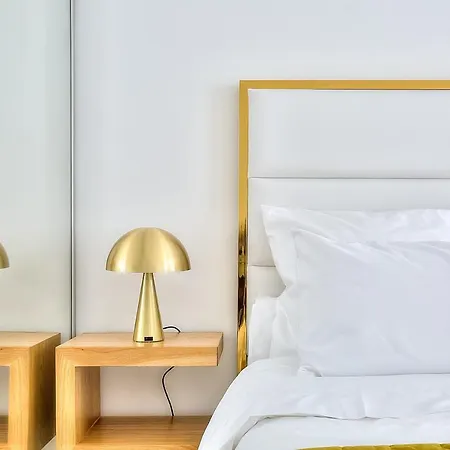 Luxury 4 Stars With 2 Terraces, Croisette 公寓 *